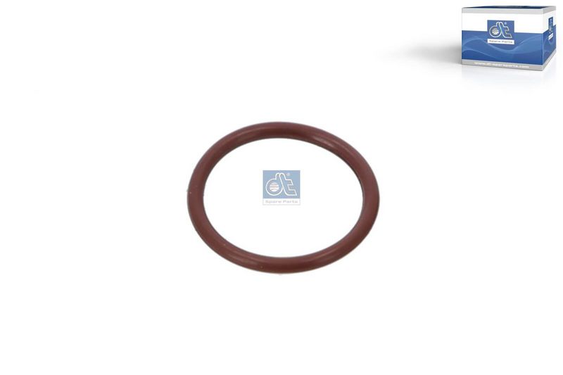 DT Spare Parts Dichtring 2.01105