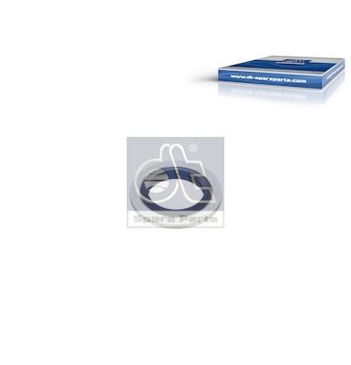 DT Spare Parts Dichtring 3.10048