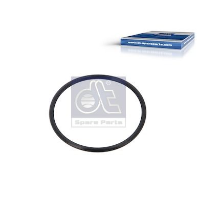 DT Spare Parts Dichtung, Thermostat 6.30073