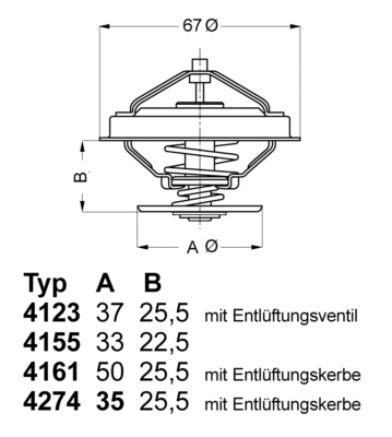 BorgWarner (Wahler) Thermostat, Kühlmittel 4123.80D