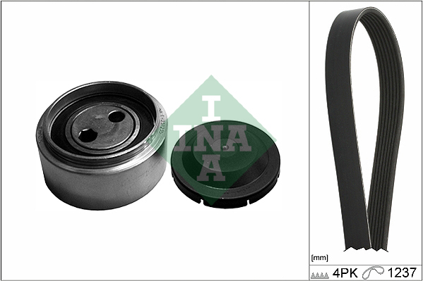 Schaeffler INA Keilrippenriemensatz 529 0087 10