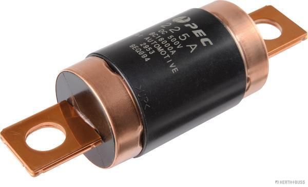 Herth+Buss Elparts Sicherung 50295394