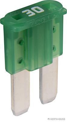 Herth+Buss Elparts Sicherung 50295651