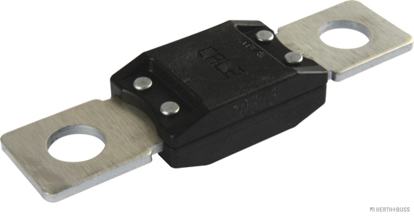 Herth+Buss Elparts Sicherung 50295842