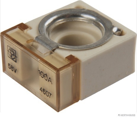 Herth+Buss Elparts Sicherung 50295882