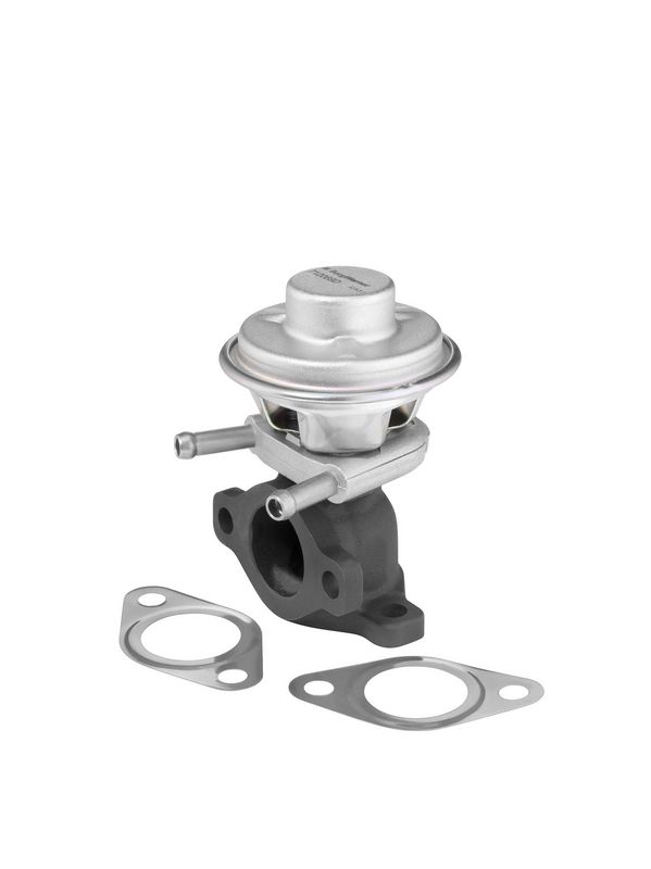 BorgWarner (Wahler) AGR-Ventil 712069D