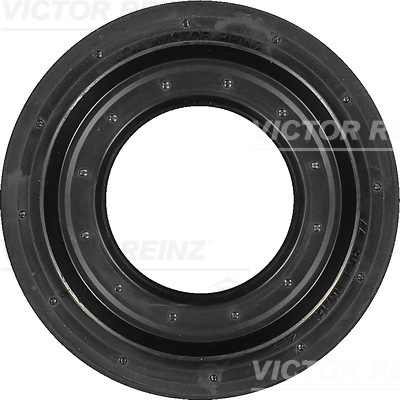VICTOR REINZ Wellendichtring, Nockenwelle 81-31193-00