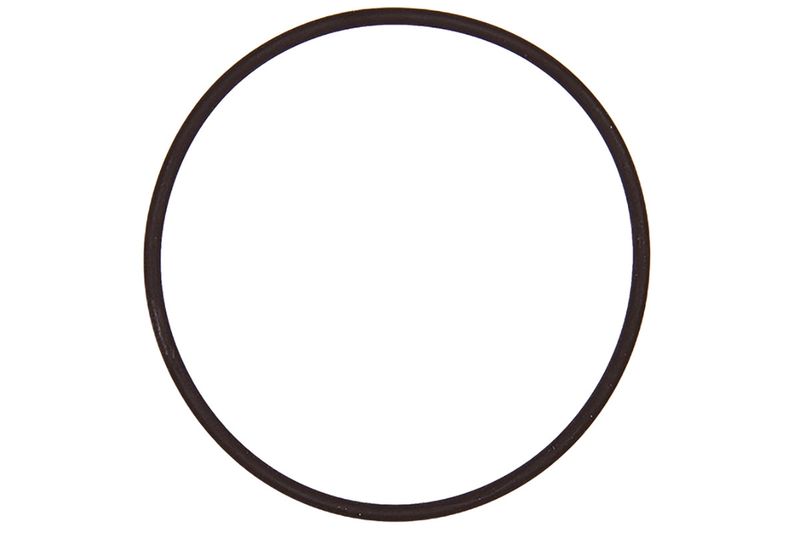 CONTINENTAL/VDO Dichtung A2C59516960