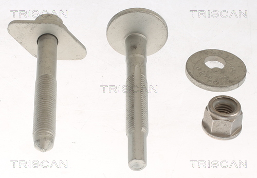TRISCAN Reparatursatz, Radaufhängung 8500 29419