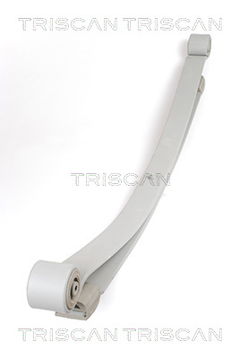 TRISCAN Federnpaket 8765 23018