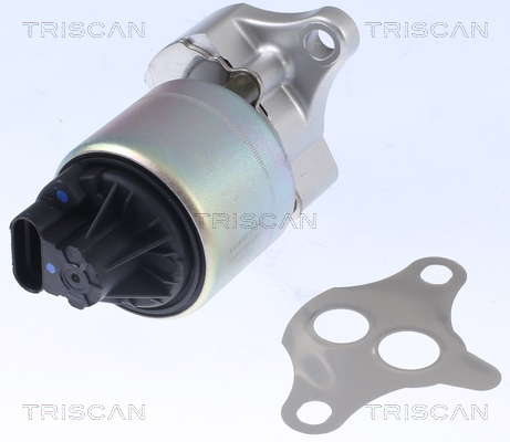 TRISCAN AGR-Ventil 8813 21001
