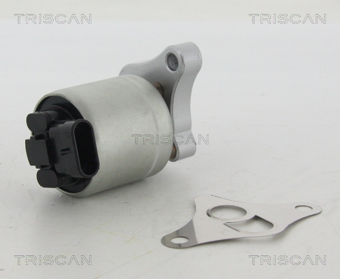 TRISCAN AGR-Ventil 8813 24002
