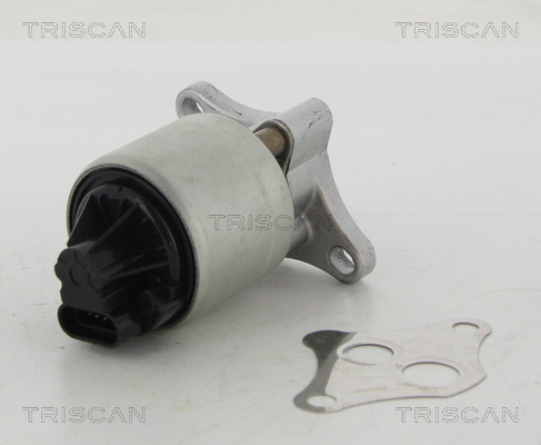 TRISCAN AGR-Ventil 8813 24004