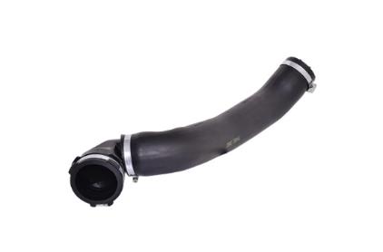 BUGIAD Ladeluftschlauch 88412