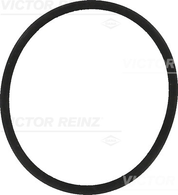 VICTOR REINZ Dichtung, Ansaugkrümmer 40-77557-00