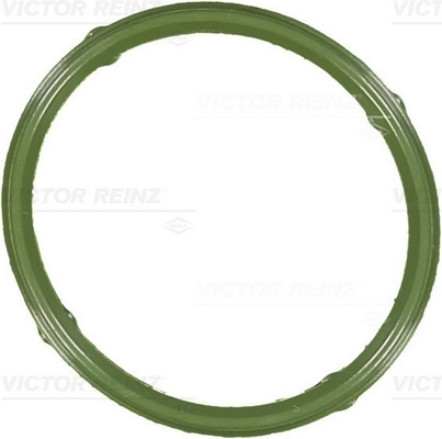 VICTOR REINZ Dichtung, Ansaugkrümmer 71-36066-00