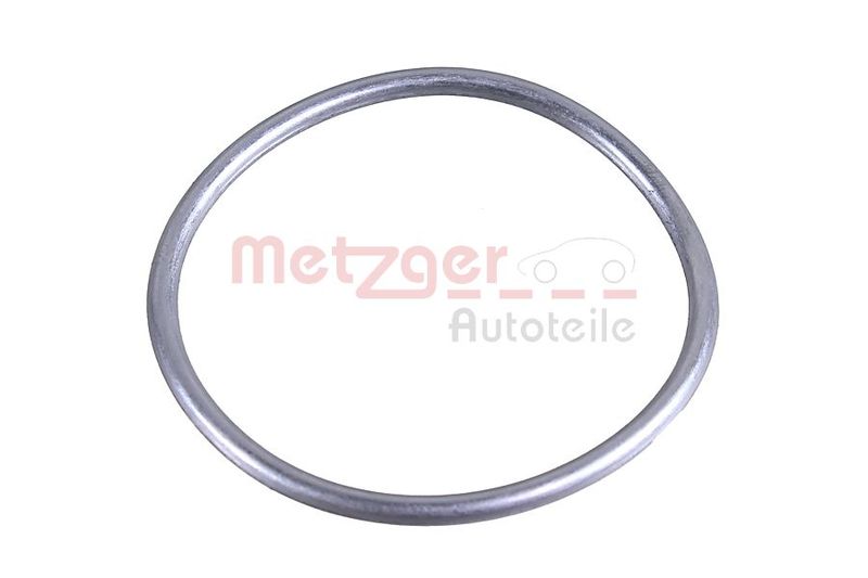 METZGER Dichtring 2430020