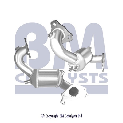 BM Catalysts Katalysator BM91974H