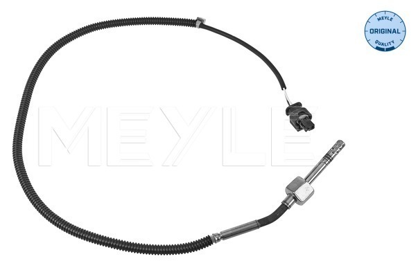 MEYLE Sensor, Abgastemperatur 014 800 0169