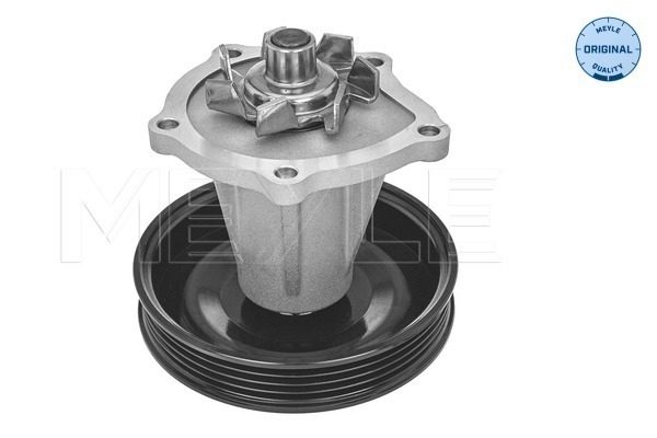 MEYLE Wasserpumpe, Motorkühlung 29-13 220 0002