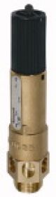 Hochleistungs-Sicherheitsventile Gewinde
G Ansprech-
druck 18,0 bar