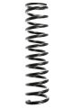 SPIDAN Fahrwerksfeder 48669