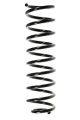 SPIDAN Fahrwerksfeder 49343