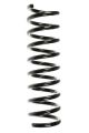SPIDAN Fahrwerksfeder 49734