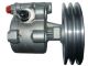 SPIDAN Hydraulikpumpe, Lenkung 52720