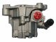 SPIDAN Hydraulikpumpe, Lenkung 52744