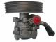 SPIDAN Hydraulikpumpe, Lenkung 52768