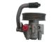 SPIDAN Hydraulikpumpe, Lenkung 52897