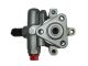 SPIDAN Hydraulikpumpe, Lenkung 53715