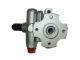 SPIDAN Hydraulikpumpe, Lenkung 53522