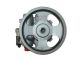 SPIDAN Hydraulikpumpe, Lenkung 53561