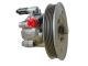SPIDAN Hydraulikpumpe, Lenkung 53592