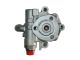 SPIDAN Hydraulikpumpe, Lenkung 53950