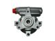 SPIDAN Hydraulikpumpe, Lenkung 53973