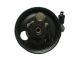 SPIDAN Hydraulikpumpe, Lenkung 53979