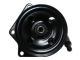 SPIDAN Hydraulikpumpe, Lenkung 54642