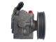 SPIDAN Hydraulikpumpe, Lenkung 54699