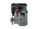 SPIDAN Hydraulikpumpe, Lenkung 54884