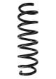 SPIDAN Fahrwerksfeder 87981