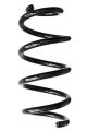 SPIDAN Fahrwerksfeder GKNW10008