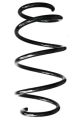 SPIDAN Fahrwerksfeder GKNW10012