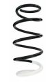 SPIDAN Fahrwerksfeder GKNW10042