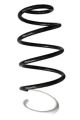 SPIDAN Fahrwerksfeder GKNW10056