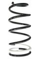 SPIDAN Fahrwerksfeder GKNW10078