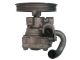 SPIDAN Hydraulikpumpe, Lenkung GKNY10073