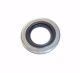 ELRING Dichtring 376.620